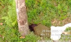 Kerja Keras Polres Simalungun Layak Di Apresiasi,Pembunuhan Berencana Remaja 15 Tahun di PT. Bridgestone di Tuntut 10 Tahun Penjara di PN Simalungun