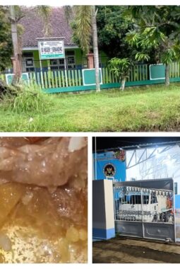 Makanan Program MBG Diduga Basi dan ada Belatung di SDN 1 Semanding, Orang Tua Murid Protes
