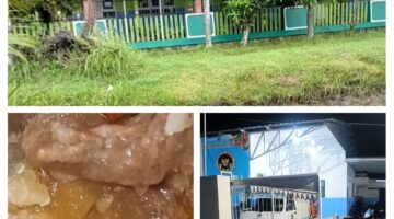 Makanan Program MBG Diduga Basi dan ada Belatung di SDN 1 Semanding, Orang Tua Murid Protes