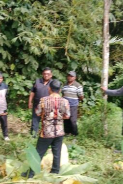 Pemkot Semarang Tinjau TPU Watu Tumpuk, Penanganan Sementara dengan Rumput Akar Wangi