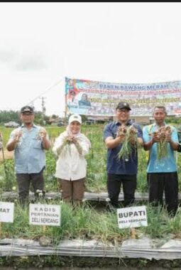 Bupati Genjot Program Unggulan Ketahanan Pangan, Deli Serdang Raih Prestasi Inflasi Terendah Per Januari 2026