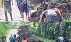 Diduga Kebal Aturan, Mandor Melenyu 2 Bawa Anak ke Blok Kerja dan Larang Peliputan