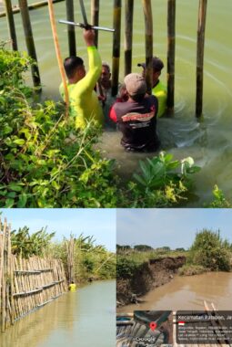 Siaga, Warga Desa Pidodokulon Gotong Royong Tanggulangi Tanggul Nyaris Jebol