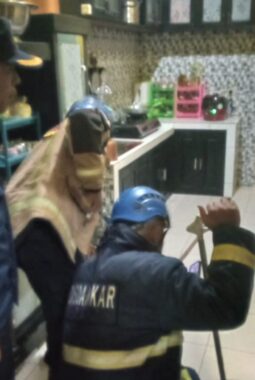 Damkar Bungbulang Evakuasi Ular Masuk Rumah Warga di Bagara