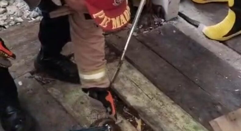 foto slider headline