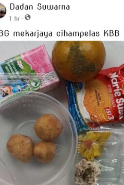 Posting Menu Makan Bergizi Gratis (MBG), Jurnalist Info Indonesia Inews Diduga Terima Intimidasi dari Oknum Ormas