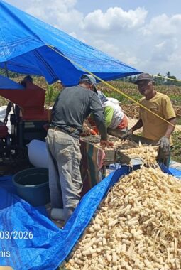 Polsek Bosar Maligas Dukung Program Ketahanan Pangan Presiden RI, Monitoring Penggilingan Jagung di Nagori Parbutaran