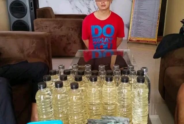 foto slider headline