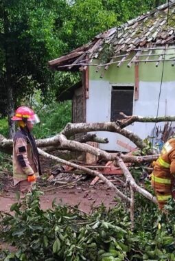 Detik-Detik Evakuasi Pohon Tumbang Yang Robohkan Atap Rumah Warga di Kampung Darussalam Bungbulang 