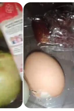 Di Sayangkan, Menu MBG Diduga Bermasalah, Ketua Dapur Tepus Kulon Akui Sudah Terima Laporan