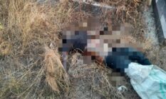 Polsek Perdagangan Gerak Cepat Tangani Penemuan Mayat Misterius di Simalungun