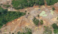 WALHI SUMUT Dukung Aparat Penegak Hukum Tindak Tegas Aktivitas Tambang Ilegal.