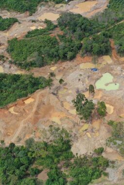 WALHI SUMUT Dukung Aparat Penegak Hukum Tindak Tegas Aktivitas Tambang Ilegal.