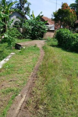 Jalan di Sebelah Kantor Kecamatan Kawunganten Terbengkalai, Warga Protes