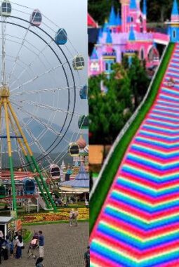 Tempat Wisata Celosia Diduga Beroperasi Tanpa Izin Lengkap, OPD Kabupaten Semarang Seolah Tutup Mata