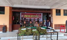 TNI-Polri Ungkap Kasus Narkotika di Pegunungan Bintang, Tiga Tersangka dan Ratusan Barang Bukti Diamankan