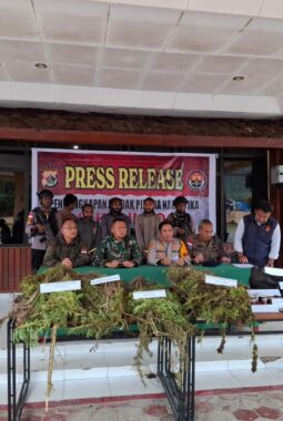 TNI-Polri Ungkap Kasus Narkotika di Pegunungan Bintang, Tiga Tersangka dan Ratusan Barang Bukti Diamankan