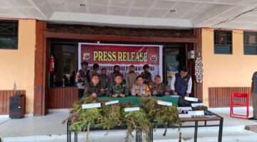 TNI-Polri Ungkap Kasus Narkotika di Pegunungan Bintang, Tiga Tersangka dan Ratusan Barang Bukti Diamankan