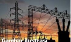 Kontroversi Lahan Bengkok & Kawasan Pangan di Jepara Dialihfungsikan Jadi Gardu Induk PLN, Warga Tolak Keras