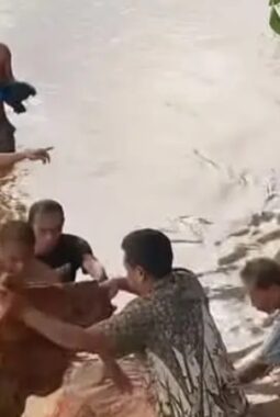 Tepat Hari Ke-7 Setelah Shalat Bersama, Jasad Adek Arsya Akhirnya Ditemukan di Area Depan Masjid Jam’ik