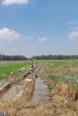 Pemeliharaan Jaringan Irigasi Tersier Desa Nusajati Diduga Abaikan Transparansi dan Kualitas Pekerjaan