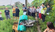 Tragis, Petani Perempuan Tewas Tersengat Listrik Jebakan Tikus di Sawah Sragen, Polisi Bergerak Cepat Olah TKP