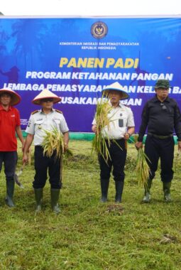Sukses Panen Padi, Lapas Batu Nusakambangan Perkuat Ketahanan Pangan dan Pembinaan Warga Binaan