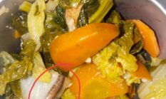 Ulat mirip Lintah dalam Menu MBG, Alarm Keras untuk Standar Higienitas SPPG Meranti