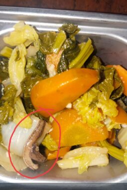 Ulat mirip Lintah dalam Menu MBG, Alarm Keras untuk Standar Higienitas SPPG Meranti