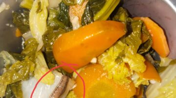 Ulat mirip Lintah dalam Menu MBG, Alarm Keras untuk Standar Higienitas SPPG Meranti