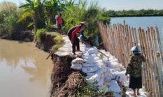 Tak Kunjung Di Benahi, Tanggul Kali Bodri Desa Pidodokulon Nyaris Jebol