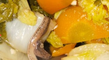 Alarm Keras dari Wali Murid: Dugaan “Ulat Mirip Lintah” di Menu MBG Tuai Protes Keras