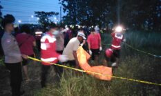 Lansia Ditemukan Meninggal di Tengah Sawah, Respons Cepat Pamapta dan Inafis Polres Sragen Lakukan Evakuasi serta Olah TKP