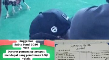 Diduga Arena Sabung Ayam Berkedok “Hobi” Beroperasi di Kemangkon Purbalingga, Aparat Diminta Bertindak Tegas
