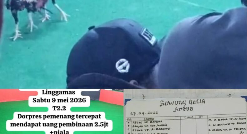 foto slider headline