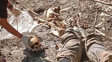 Temuan Mayat di Sungai Bedog Bantul, Ternyata ada 2 Tengkorak