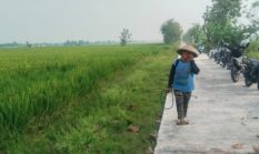 TMMD Reg ke-128 Kodim 0725/Sragen bawa berjuta berkah buat Petani