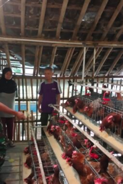 Dukung UMKM Warga, Babinsa Purwantoro Sambangi Peternak Ayam Petelur
