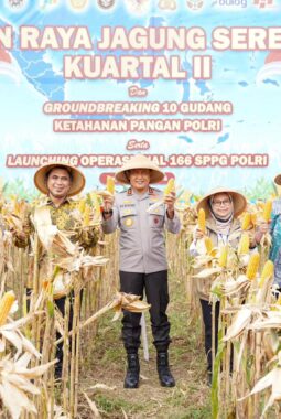 Dukung Swasembada Pangan Nasional, Kapolda Jateng Panen Jagung Bersama Petani di Boyolali