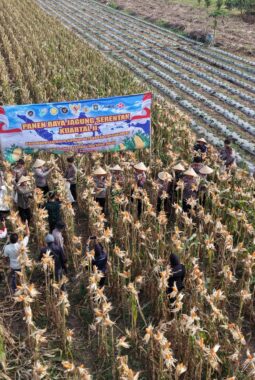 Polres Purworejo Panen Jagung Wujud Nyata Dukung Ketahanan Pangan Nasional