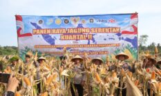 Polres Purworejo Panen Jagung Wujud Nyata Dukung Ketahanan Pangan Nasional