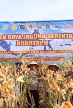 Polres Purworejo Panen Jagung Wujud Nyata Dukung Ketahanan Pangan Nasional