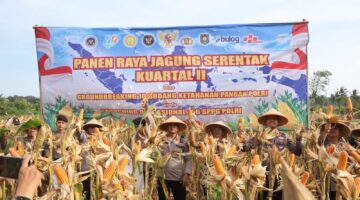 Polres Purworejo Panen Jagung Wujud Nyata Dukung Ketahanan Pangan Nasional