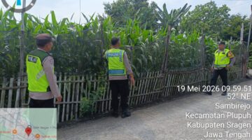 Polres Sragen Kawal Ketahanan Pangan Nasional, Jajaran Polsek Turun Langsung Pantau Ribuan Meter Lahan Jagung Warga