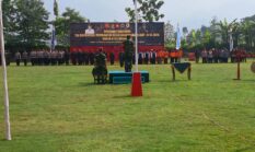 Sinergi TNI-Polri dan Warga Warnai Penutupan TMMD di Tirtomoyo, Infrastruktur Desa Hargantoro Kini Makin Maju