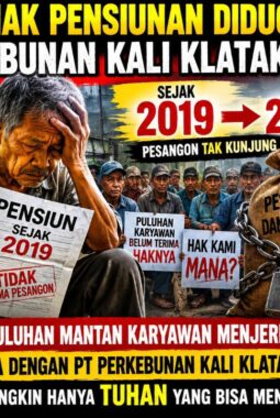 Jeritan Pensiunan PT Kali Klatak: Mengabdi Puluhan Tahun, Kini Hidup Tanpa Kepastian