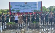 Peduli Lingkungan, TNI AD Tanam 1500 Pohon Mangrove Dipesisir Pemukiman Desa Pidodokulon