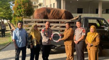Polda Sumbar dan PT Hutama Karya Salurkan 48 Sapi dan 8 Kambing 