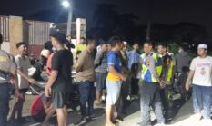 Kerbau Kurban Lepas di Kudus, Seruduk 2 Pemotor hingga Dilumpuhkan Polisi