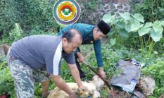 PAC LDII Tugurejo Semarang Sukses Gelar Penyembelihan Hewan Qurban dalam Rangka Idul Adha 1447 H Tahun 2026